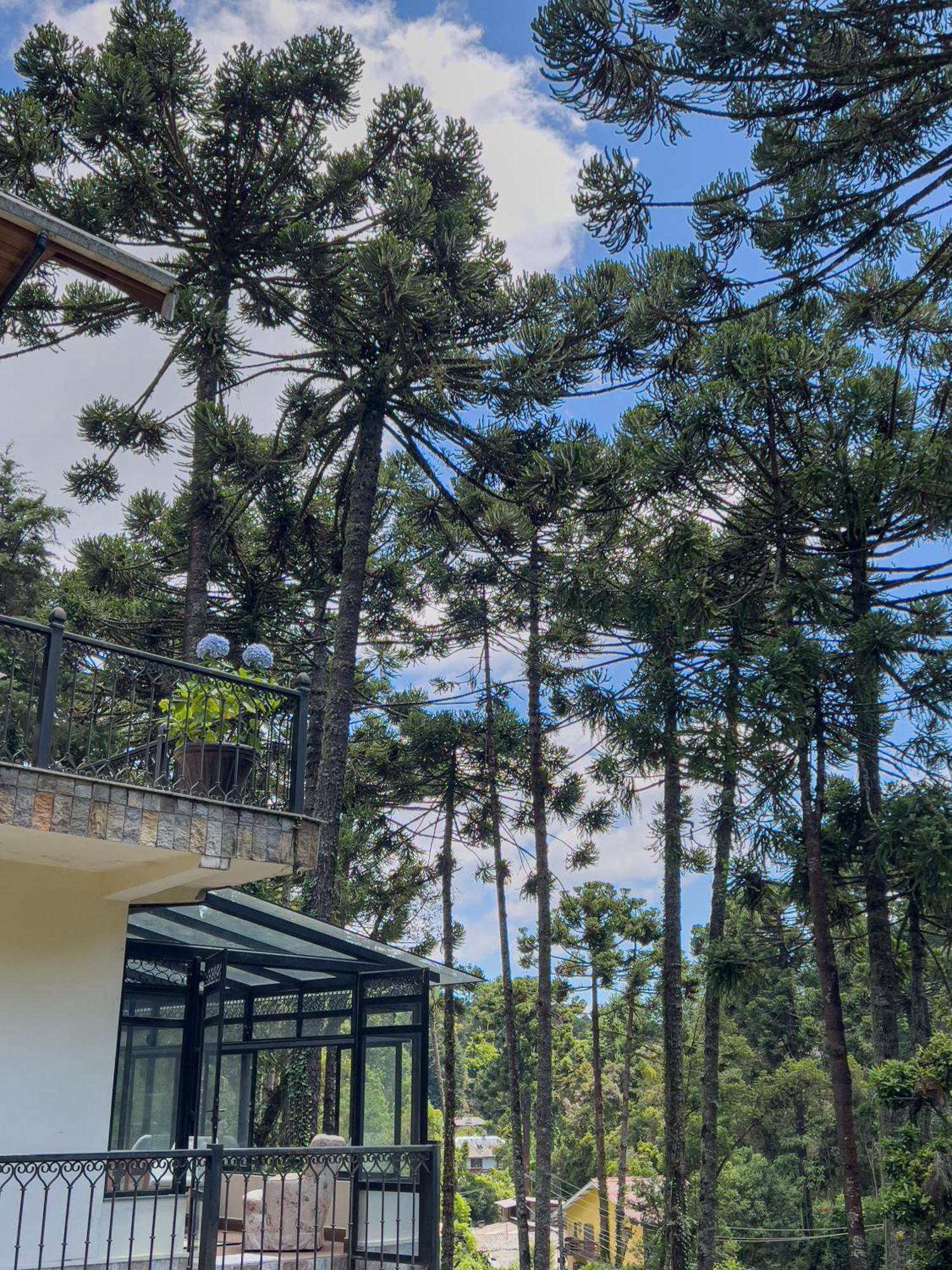 Hotel Recanto Do Pepe Campos do Jordão Exterior foto
